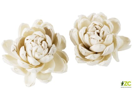 869174 8955eeb2 4f60 4b62 960b 3175f8b15f49