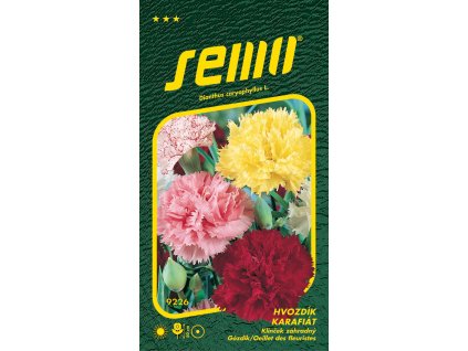 873041 109e060b b97f 4968 8ec7 3e1c5c55acce