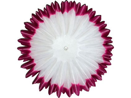 869252 793c93cd dc9d 4344 b9eb dd60f47cf7f3