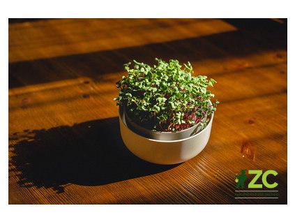 865490 5b8505f8 66b9 468e 9993 bfa20a65af84