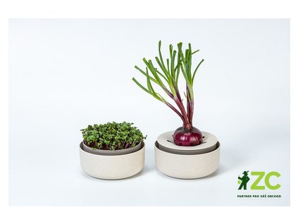 865487 6597bf24 7127 41d6 8692 1505094a9b6a