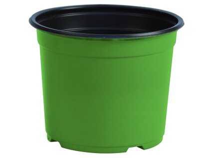 171423 kontejner desch 14 cm zeleny