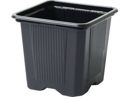 865196 bdea0ded cb8c 4a24 874d 89964fa76fc3