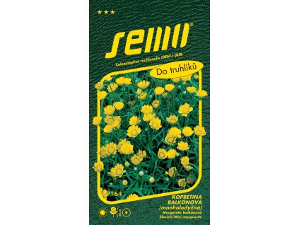 873095 17f07aab 5b2c 469a a509 a5856a138800