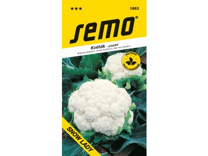 165228 kvetak letni podzimni snow lady 50s