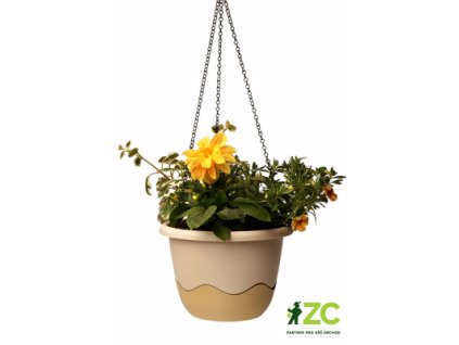 171744 kvetinac mareta zavesny slonova kost svetla tmava 25 cm