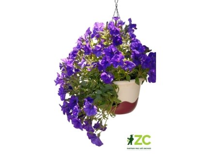 865568 7413664c e0fc 4764 bad8 822eb15505e6