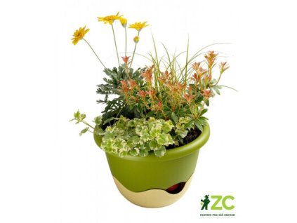 865571 92d5d38e a41d 428b 9998 42778aa23f25