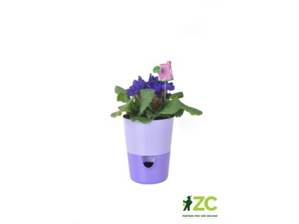 865586 1a511415 4f69 4f64 b80b f814163cb713