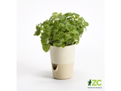 865589 c24a59cb b0e6 4391 9e08 c865c78aa698