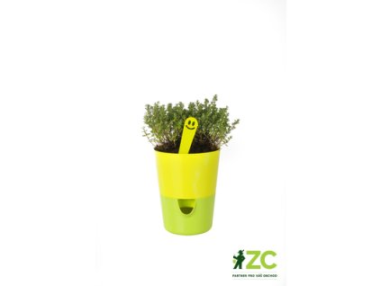 865592 58299785 7555 493d 816a 6a2c1eb4c9b5