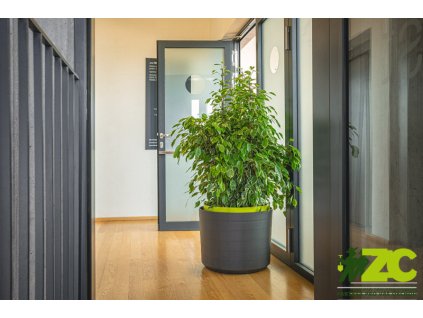 865604 8175718f f43b 4aa7 8086 d438083ec1b1