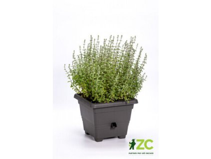 171795 kvetinac samozavlazovaci bergamot antracit 25x25 cm