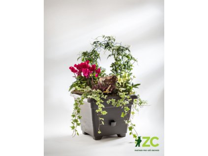 865655 90f66c0f c998 45be b257 66c66051ca7f