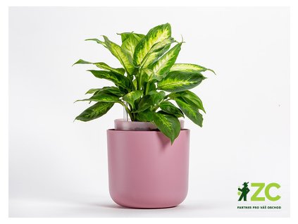 865796 5f3fe3e3 d34a 4d2b 8ff9 edd13dab7121