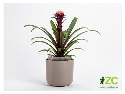 865814 e8934fd3 1b67 4783 aaa3 788e8ead2c98