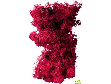 869483 28f3c070 2676 49dc b627 136748ab0d7e