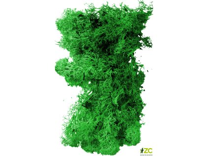 869492 49033a3c 48fc 49a4 bdae 03fe9f0188c9