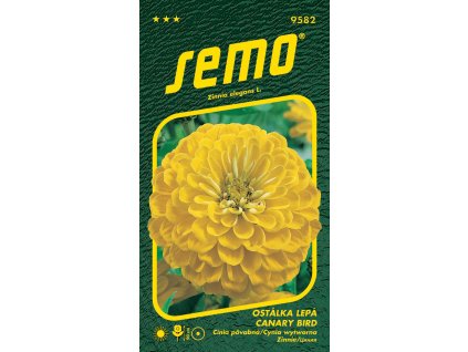 873323 a09b37aa 228a 4448 b2a8 de16db6734ba