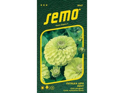 873332 d00f1961 d21d 4cd3 bc81 bcaaca4affec