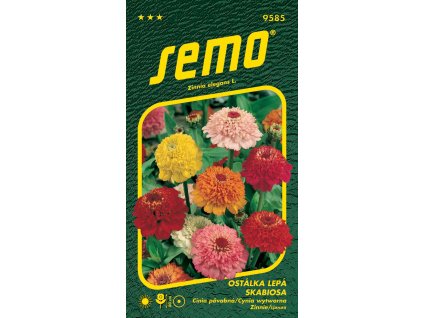 873365 af807228 f4c0 4d32 85a7 503222983b6f