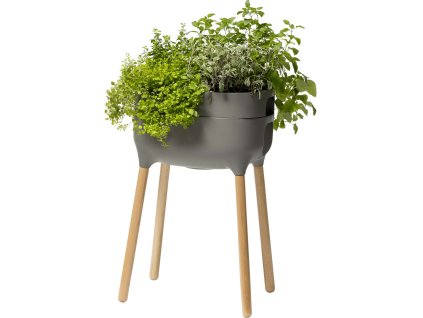 866645 e7ca62ed 7e07 40fc bdba 74a8a1b78909