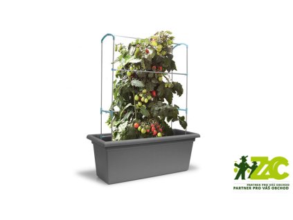 864569 3c3875b5 2727 44c2 b867 26ff61969458