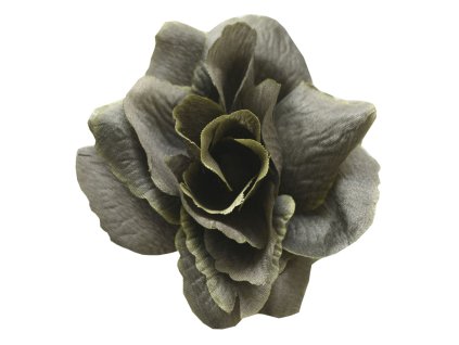 869309 c199eea2 6aee 47f0 9160 517247ff4e39