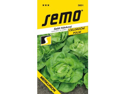 166347 salat celorocni merkurion profi polni 0 6g
