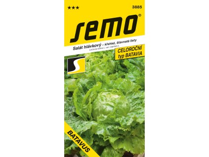 872243 a2658474 f3f7 4c4a 9ebf fc37ff19d066