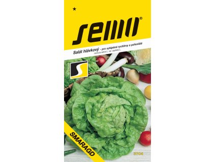 166410 salat k rychleni smaragd s skleniky par 0 4g