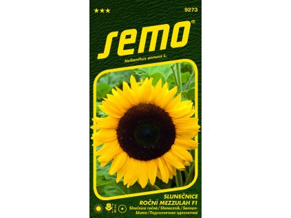 873527 d6cfe101 fd1f 4860 800e 07939e611adc