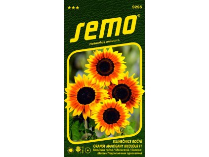 873533 39ff703f 6fb2 4d7f 8b63 2c2aeb2291b9