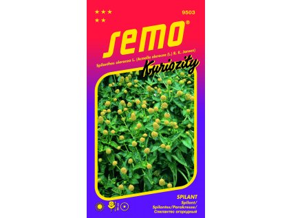 873647 739ad668 ad93 41c7 998e f14f7f047902