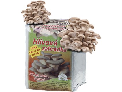 163167 substrat hliva ustricna