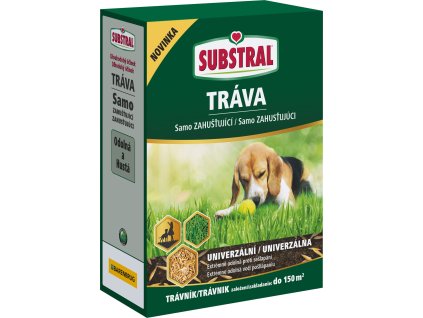 858947 adeaa4f4 3795 43ac 892f 9ad6e2eb603d