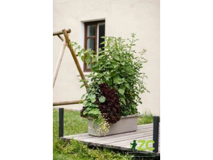 866762 374ec66f 49a0 484f 8717 8ac2c471e2d6