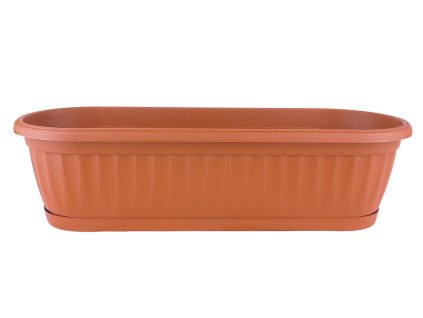 864722 4864d078 9c74 44be b61c 569ee3f04e44