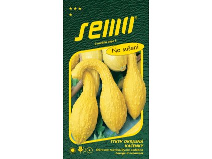 873755 bdd83255 893e 415f 95f1 2793c6977ee4