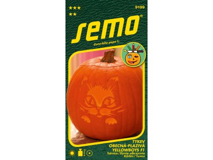 873773 d7325253 3aff 4dc6 9dfb 1c79c9f4d655