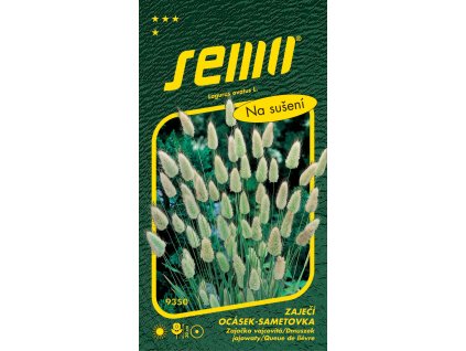 873800 623c79c2 9c3d 4ce4 8ce4 e56e1d497d22