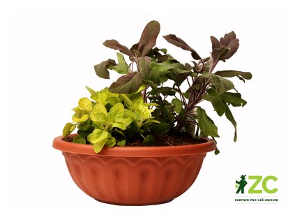 867026 9d941158 18ed 4e0e 97cb 06b519a3a34c