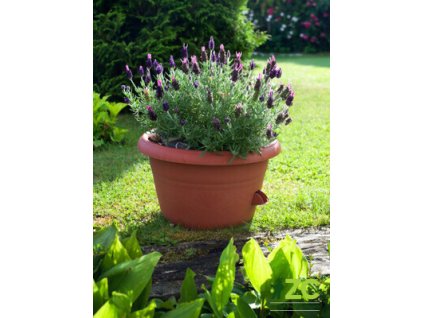 173058 zardina samozavlazovaci siesta bez zavesu terakota 30 cm
