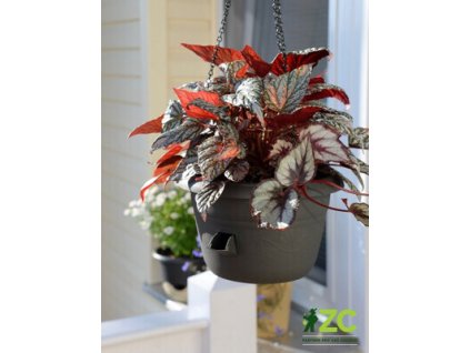 173064 zardina samozavlazovaci siesta zaves antracit 25 cm