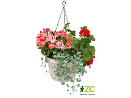 867194 ad0c8eff 091f 448e bf3b 60d751aee1f3