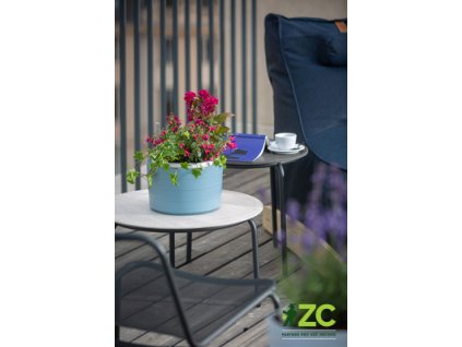 172998 zardina samozavlazovaci trojzaves berberis sedomodra bila 30 cm