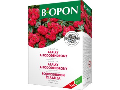 855308 656e99fb c90f 460e bf26 ec6b6f7db1dc