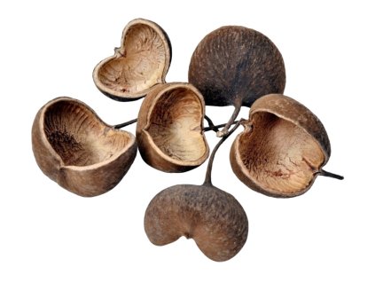 868910 b898fe46 fa57 449e 8b27 e5a760f33583