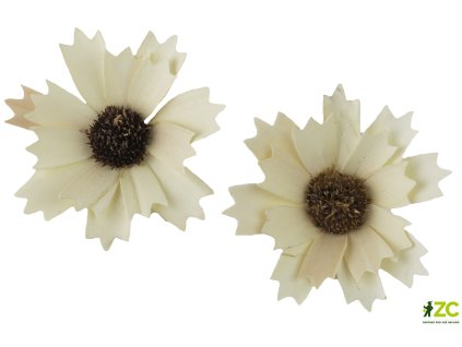 869060 9daf4d39 13fb 4922 b02b 6f95ae0cd836