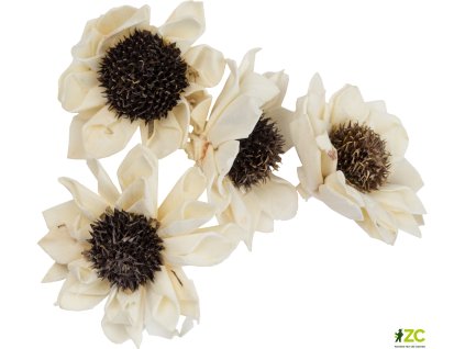 869114 fcfe45f0 75c2 4eab 8460 e53a73294331